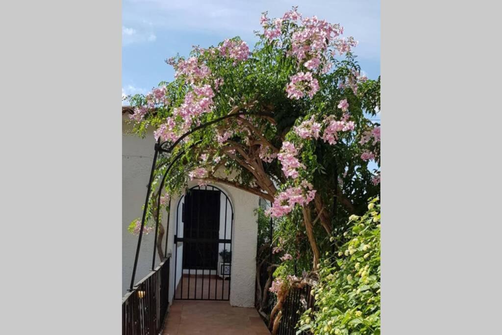 Fabulous Refurbished Above Private Benissa